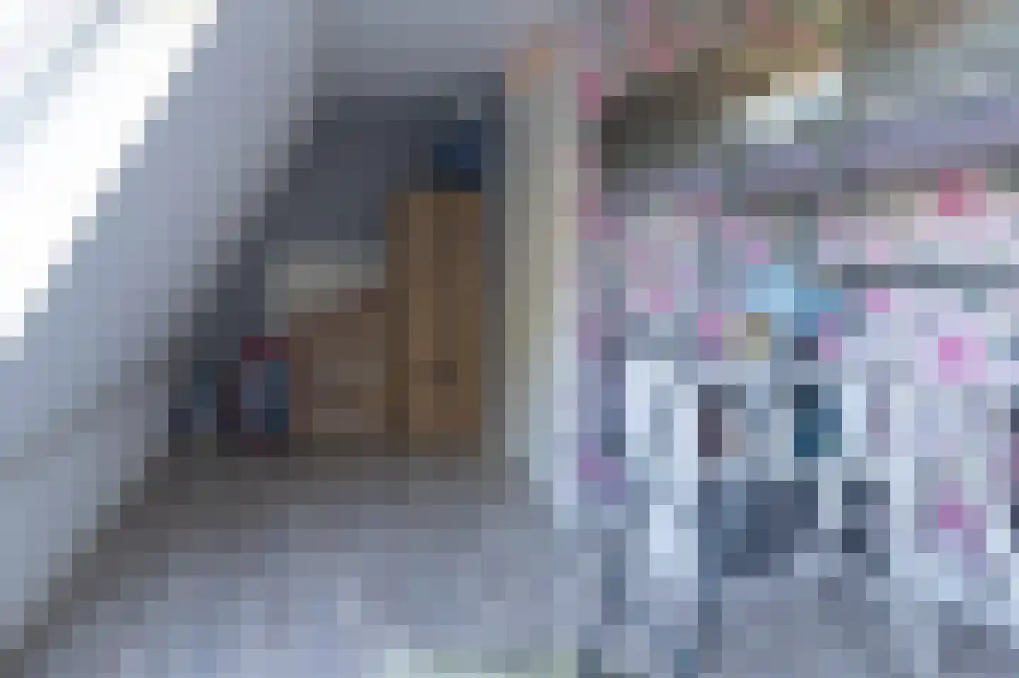 Wildforster 45 Barneveld thumbnail 33