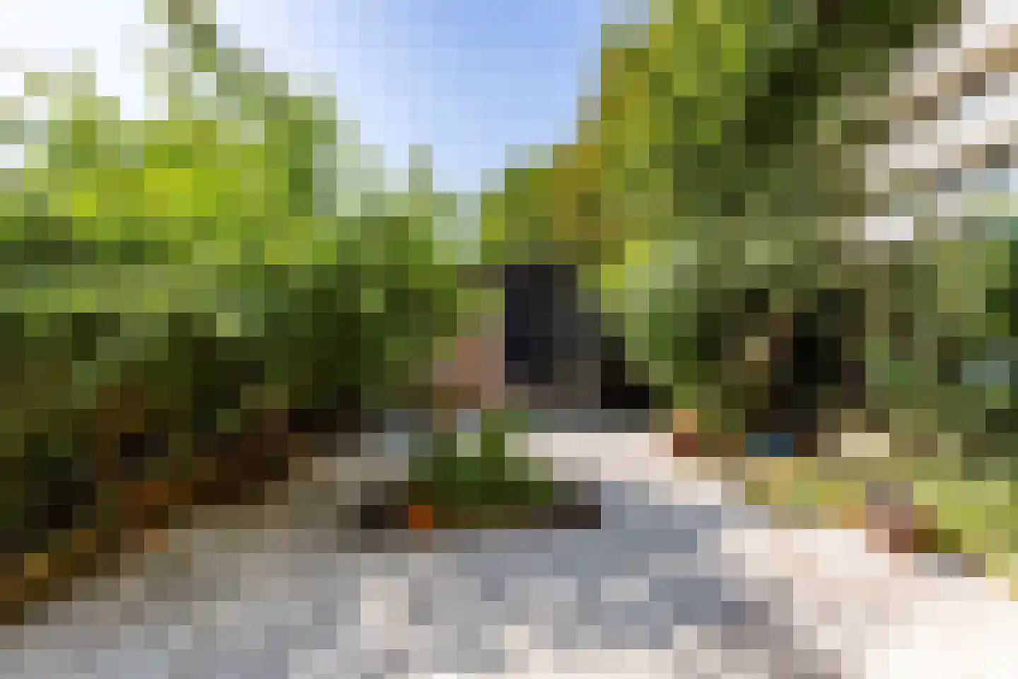Wildforster 45 Ede thumbnail 31