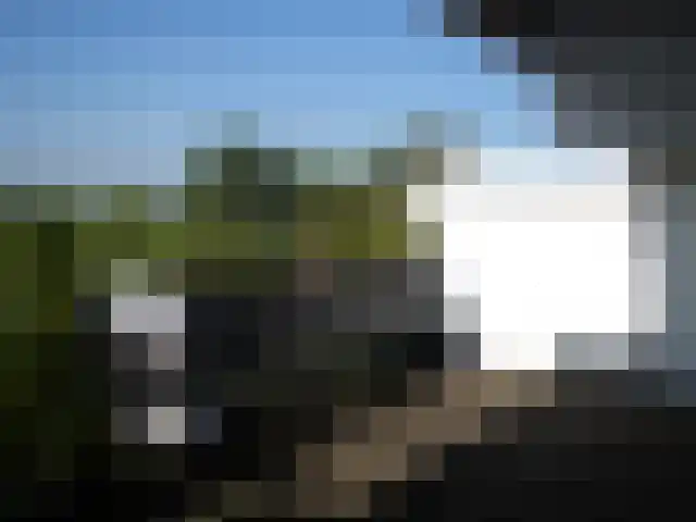 Wildforster 455 Ede thumbnail 6