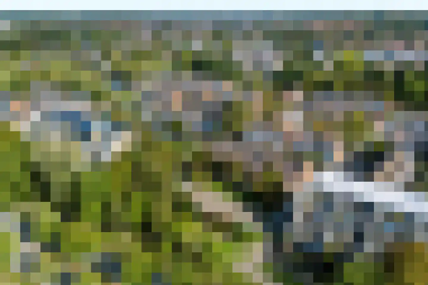 Wildforster 50 Ede thumbnail 47