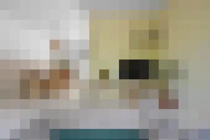 Wildforster 63 Barneveld thumbnail 10