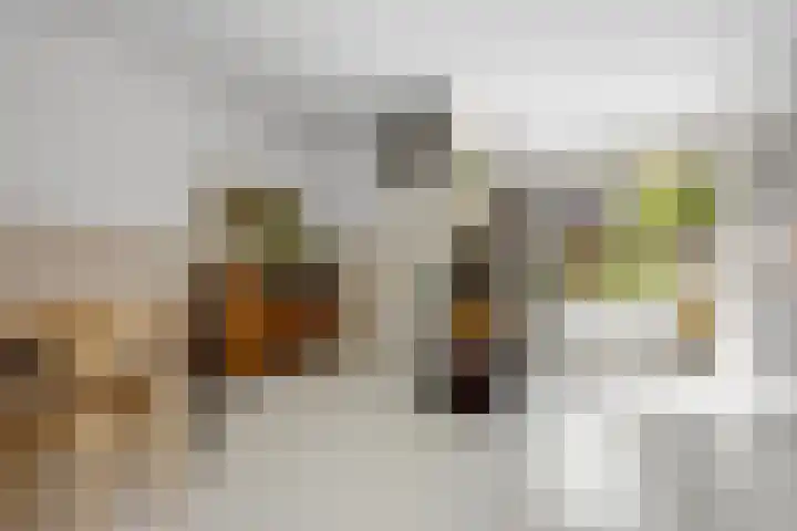 Wildforster 63 Barneveld thumbnail 11