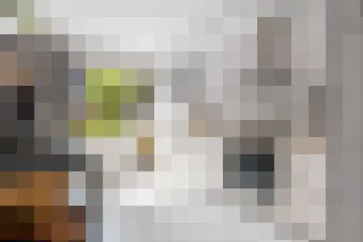 Wildforster 63 Barneveld thumbnail 12