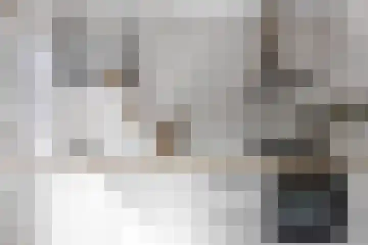Wildforster 63 Barneveld thumbnail 14