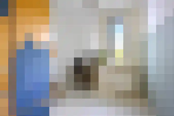 Wildforster 63 Barneveld thumbnail 16