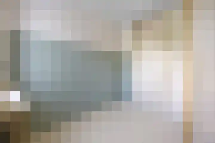 Wildforster 63 Barneveld thumbnail 17