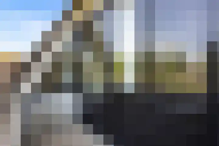 Wildforster 63 Barneveld thumbnail 21