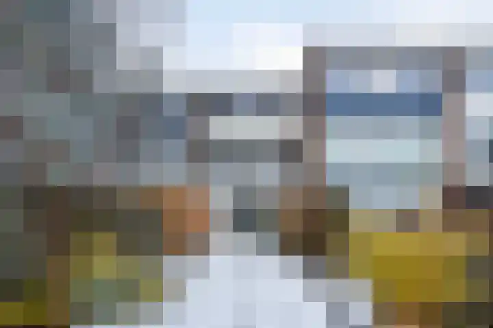 Wildforster 63 Barneveld thumbnail 31