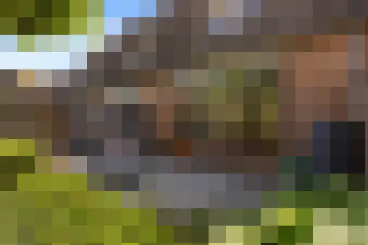 Wildforster 63 Barneveld thumbnail 31