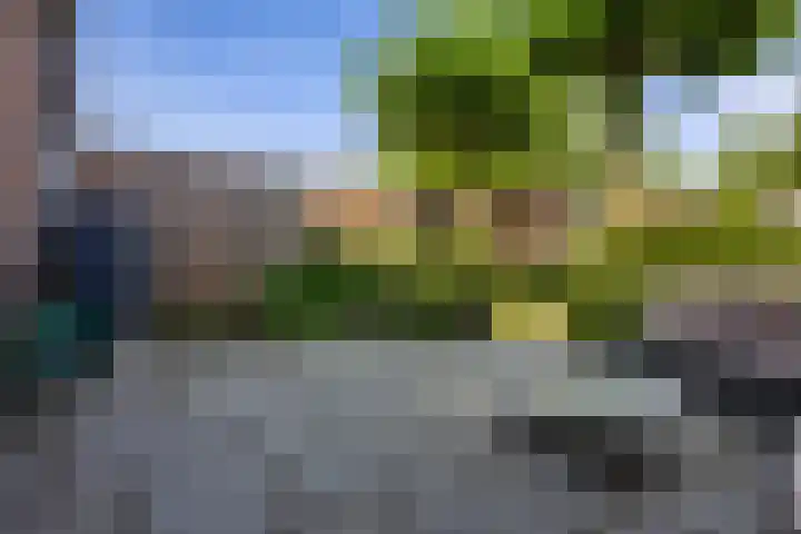 Wildforster 63 Barneveld thumbnail 32