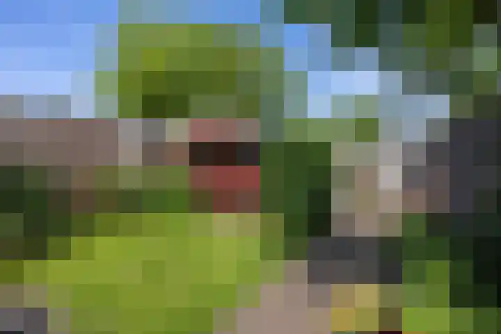 Wildforster 63 Barneveld thumbnail 33