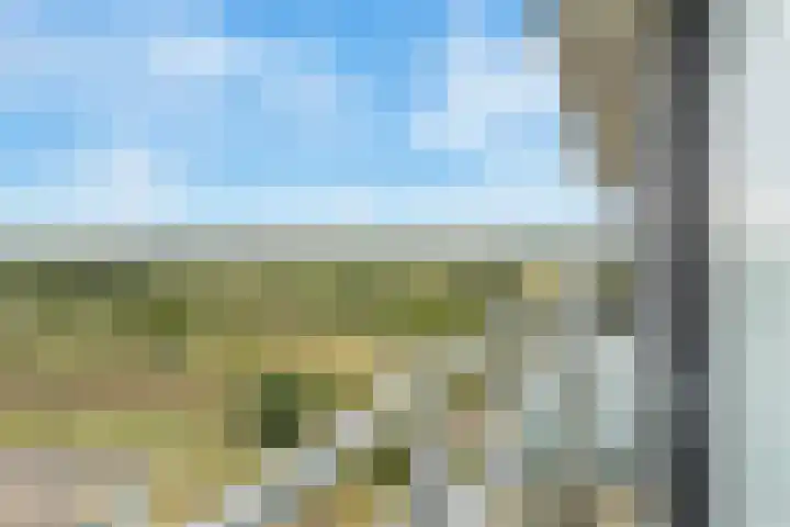 Wildforster 63 Barneveld thumbnail 34