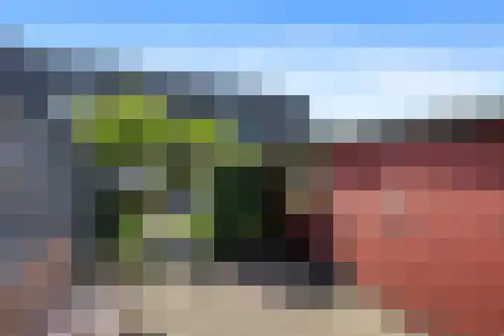 Wildforster 63 Barneveld thumbnail 34
