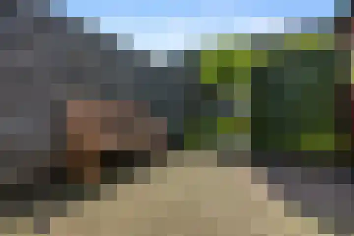 Wildforster 63 Barneveld thumbnail 35