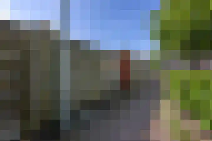 Wildforster 63 Barneveld thumbnail 36