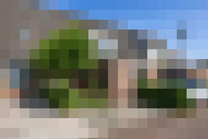 Wildforster 63 Barneveld thumbnail 38