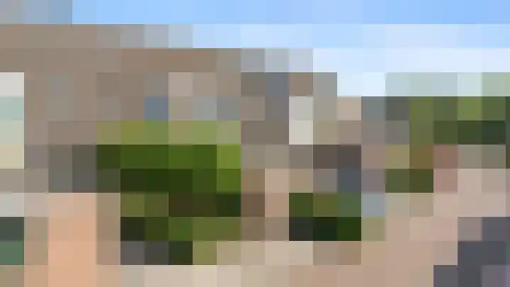 Wildforster 63 Barneveld thumbnail 39