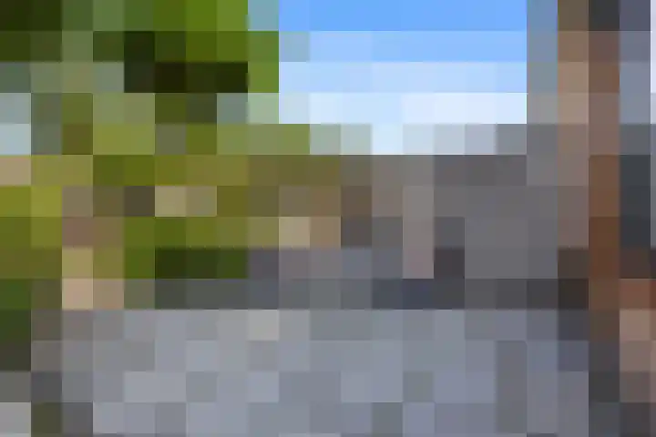 Wildforster 63 Barneveld thumbnail 4