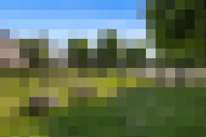 Wildforster 63 Barneveld thumbnail 40