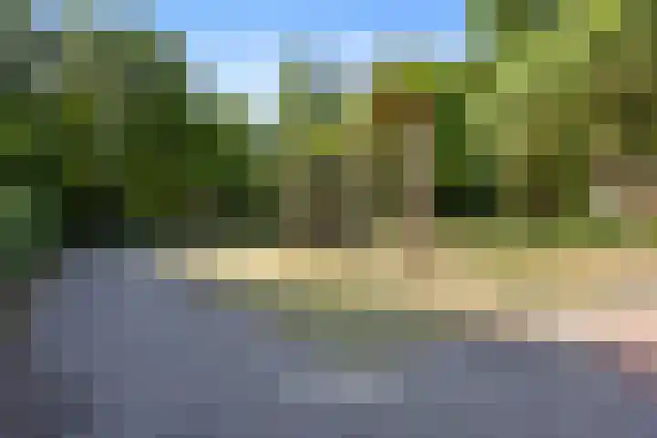 Wildforster 63 Barneveld thumbnail 41