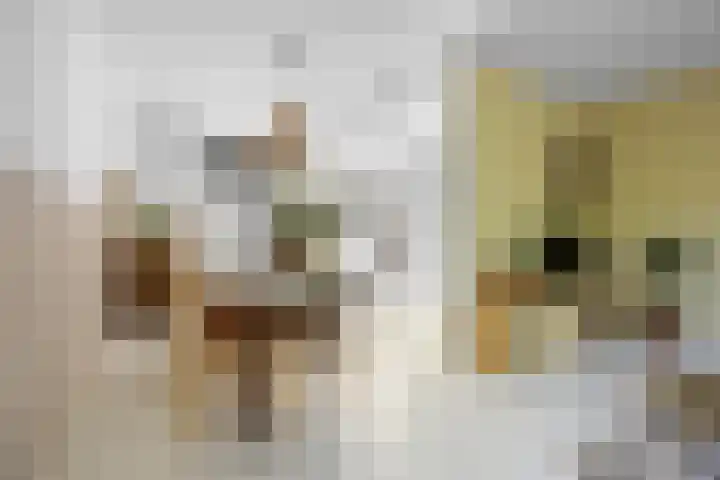 Wildforster 63 Barneveld thumbnail 8