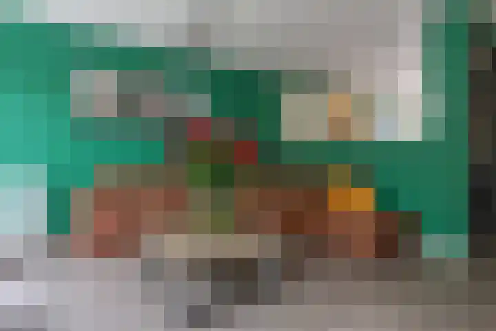 Wildforster 84 Barneveld thumbnail 11