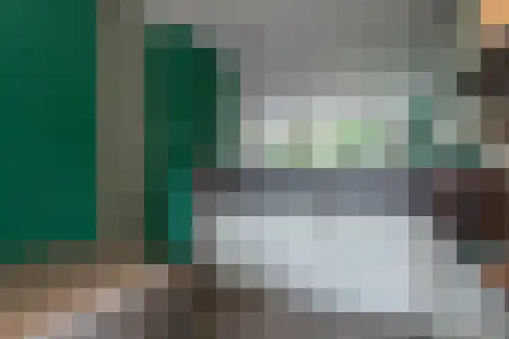 Wildforster 84 Barneveld thumbnail 14
