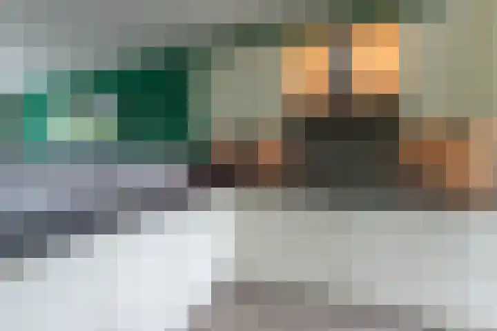 Wildforster 84 Barneveld thumbnail 17