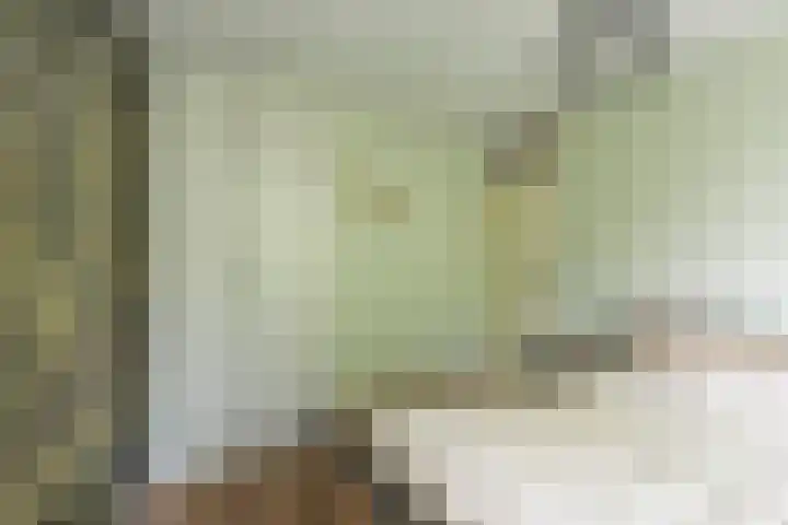 Wildforster 84 Barneveld thumbnail 25