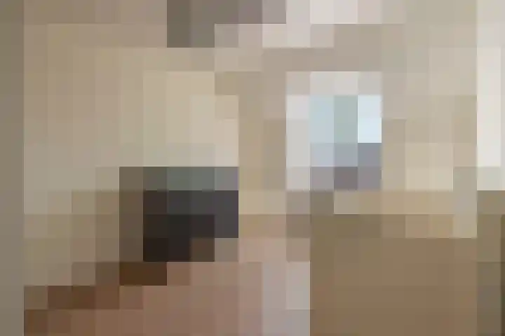Wildforster 84 Barneveld thumbnail 26