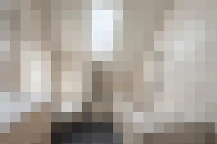 Wildforster 84 Barneveld thumbnail 27