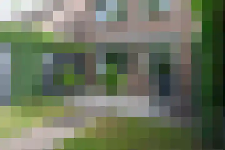 Wildforster 84 Barneveld thumbnail 36