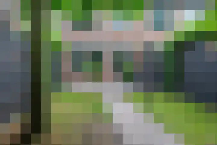 Wildforster 84 Barneveld thumbnail 37