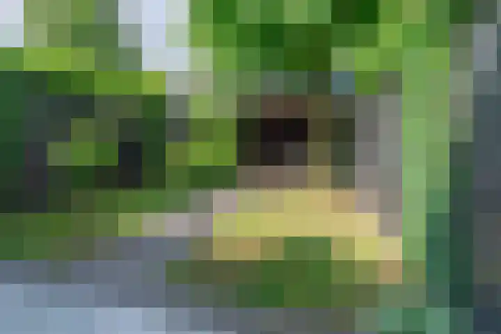 Wildforster 84 Barneveld thumbnail 38
