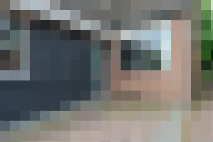 Wildforster 84 Barneveld thumbnail 4