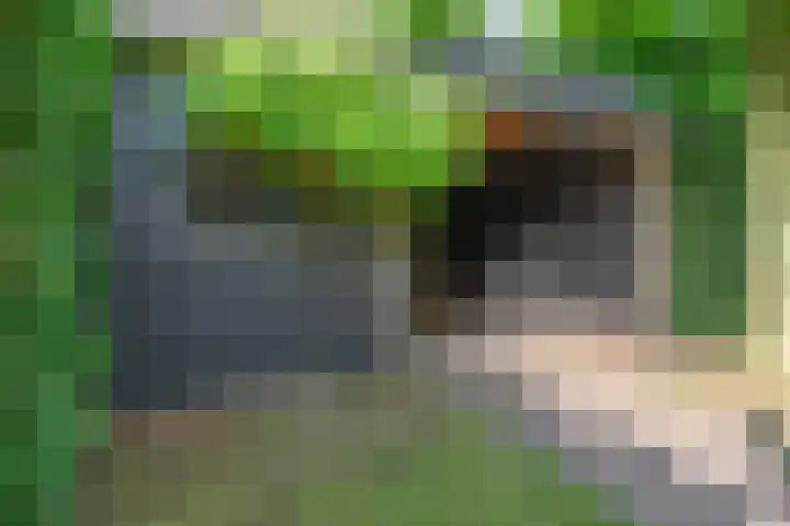 Wildforster 84 Barneveld thumbnail 40
