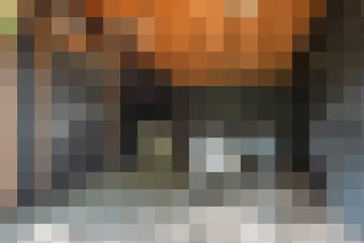 Wildforster 84 Barneveld thumbnail 41