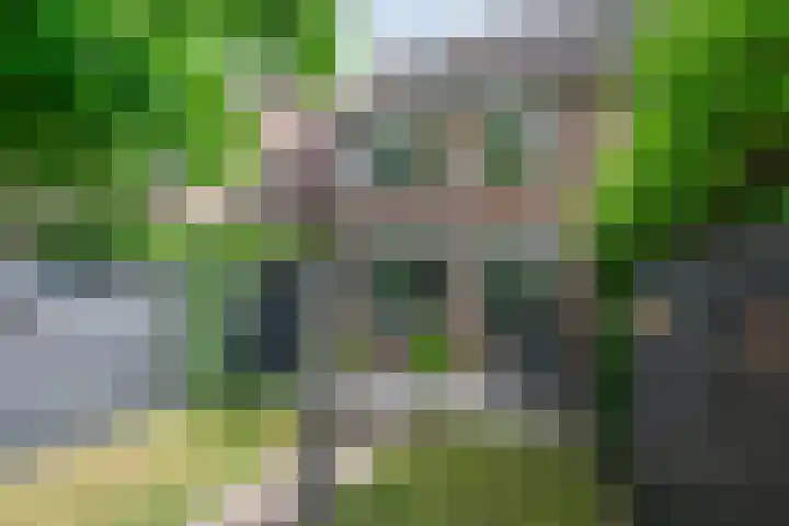 Wildforster 84 Barneveld thumbnail 42