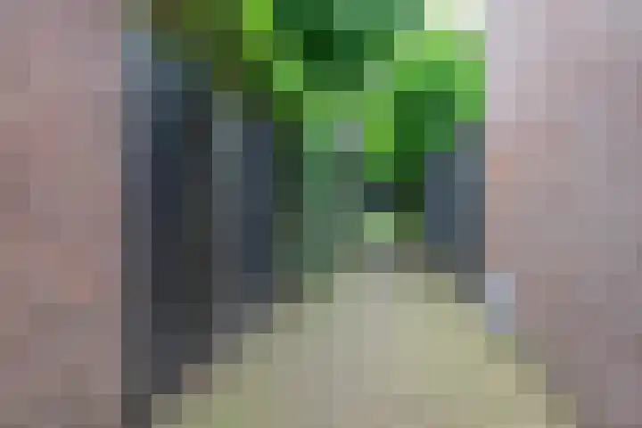 Wildforster 84 Barneveld thumbnail 43