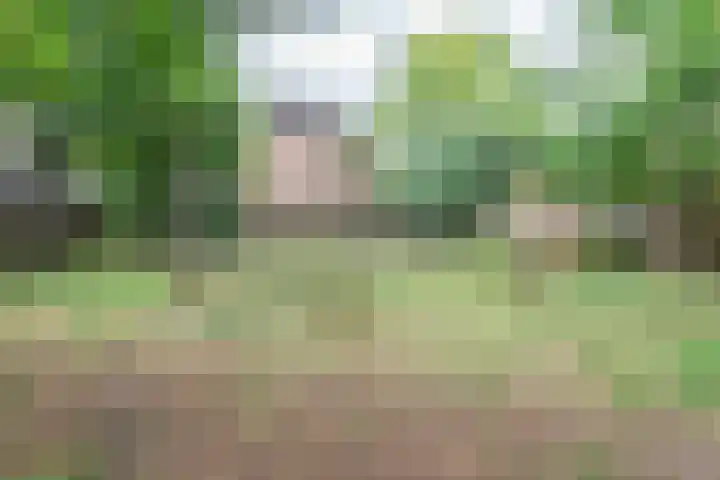 Wildforster 84 Barneveld thumbnail 44