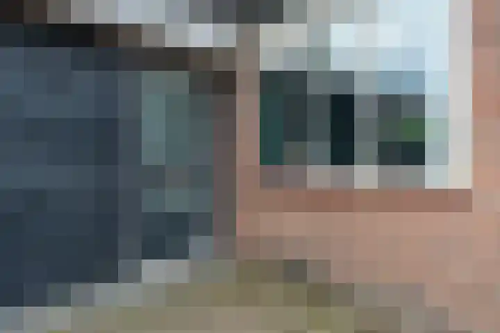 Wildforster 84 Barneveld thumbnail 5