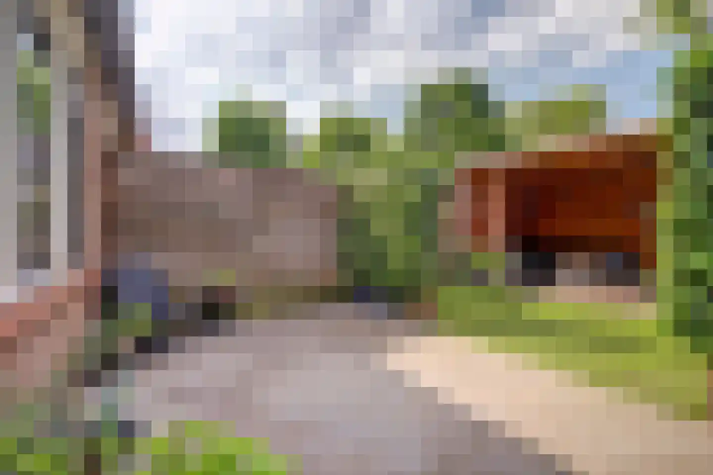 Wildforster 87 Barneveld thumbnail 28