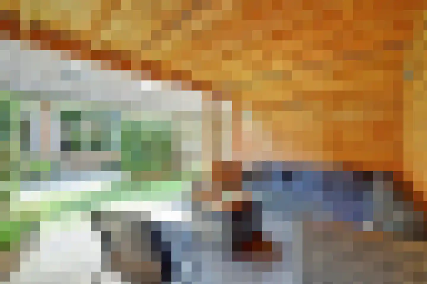 Wildforster 87 Barneveld thumbnail 30