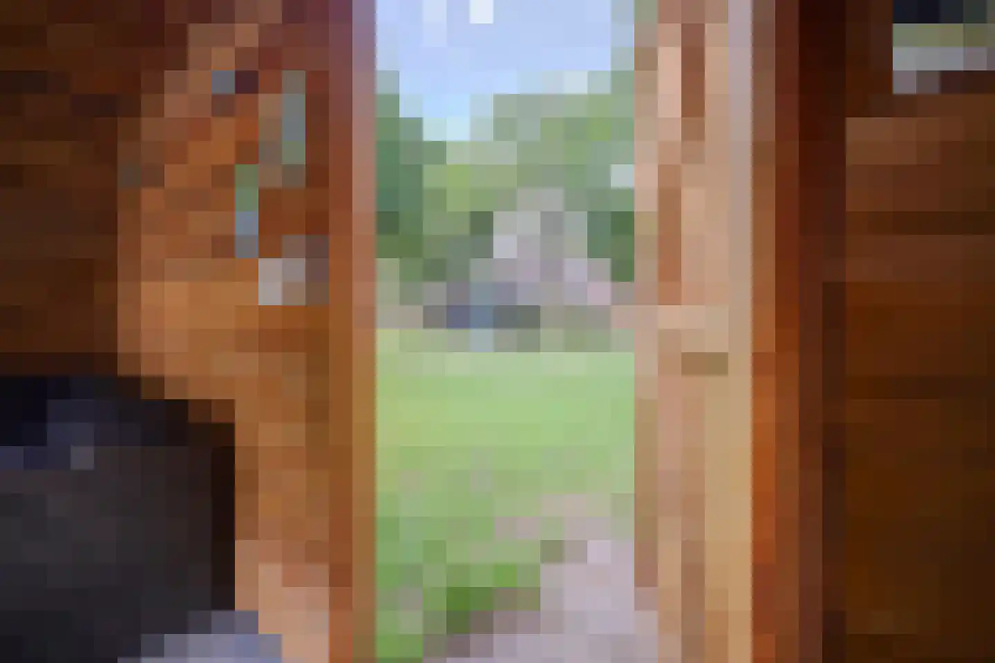 Wildforster 87 Barneveld thumbnail 31