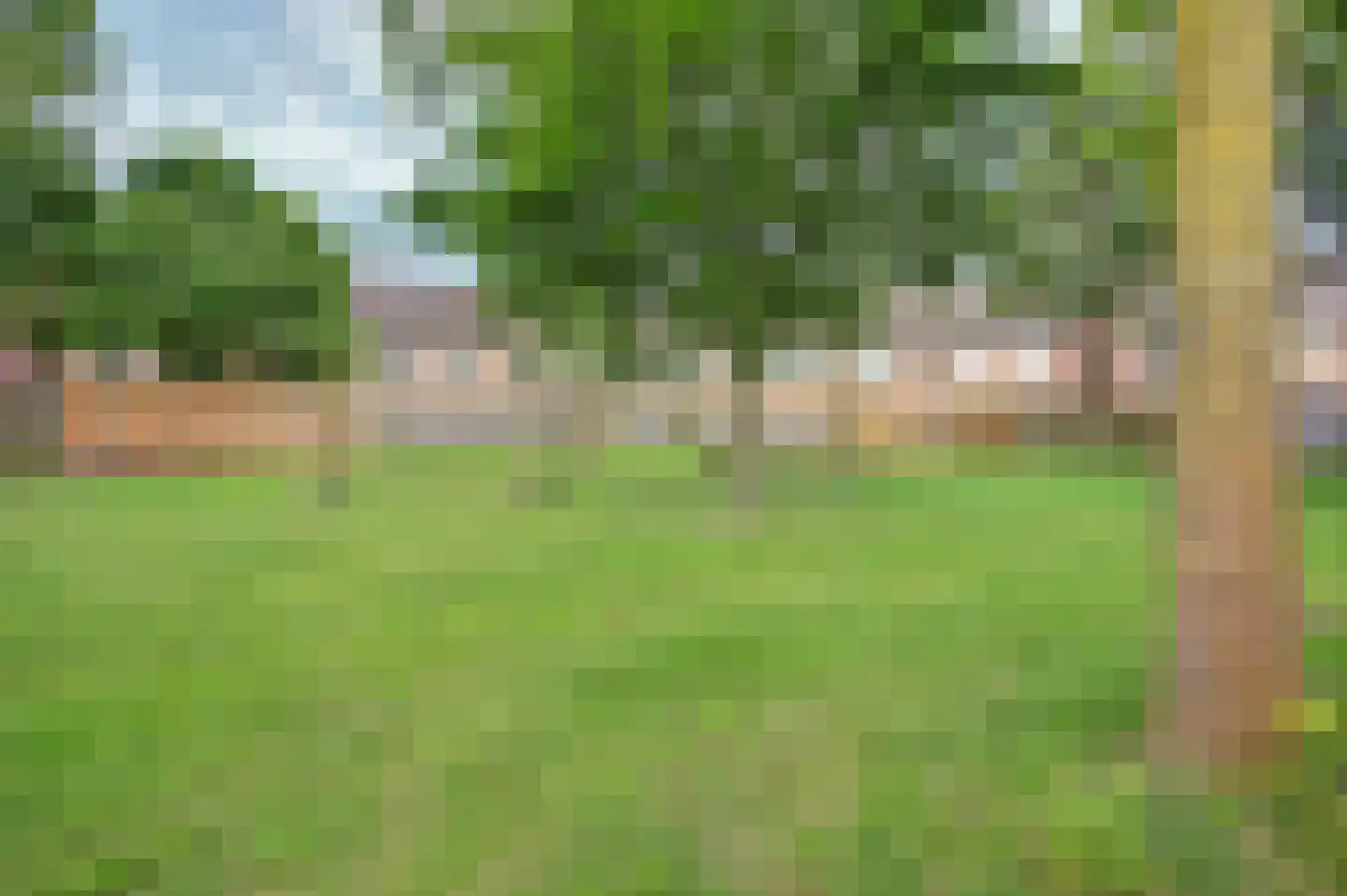 Wildforster 87 Barneveld thumbnail 32