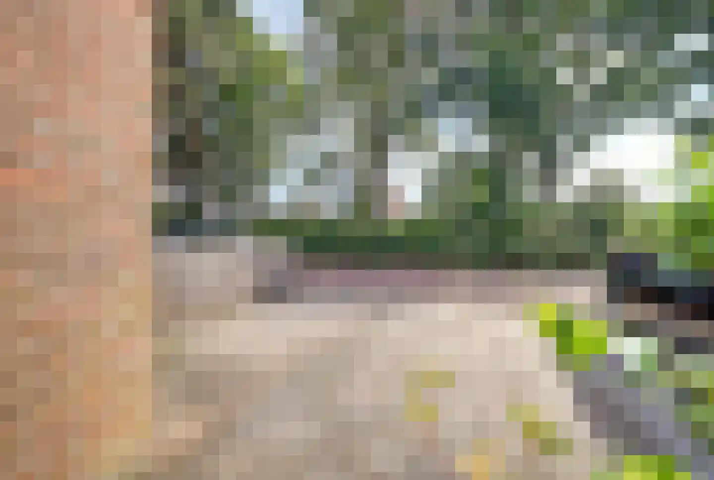 Wildforster 87 Barneveld thumbnail 34
