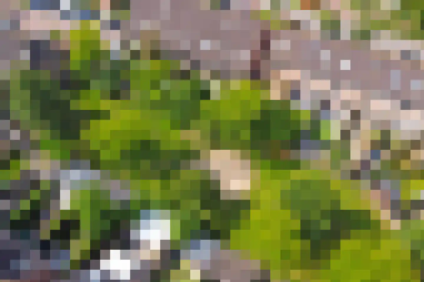 Wildforster 87 Barneveld thumbnail 36