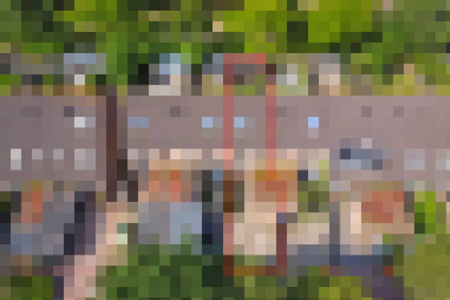 Wildforster 87 Barneveld thumbnail 37