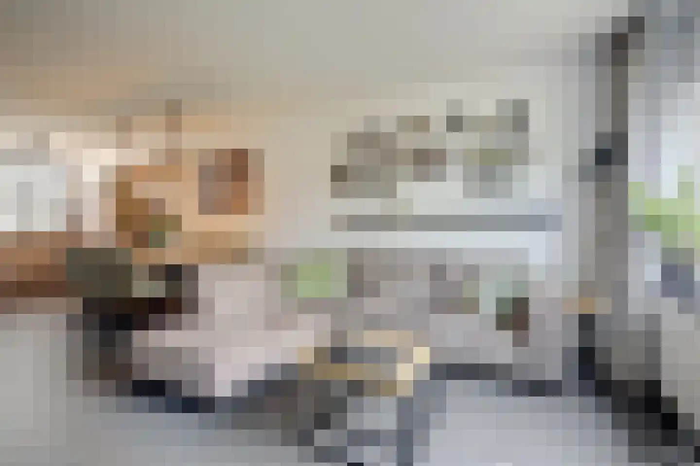 Wildforster 87 Barneveld thumbnail 7