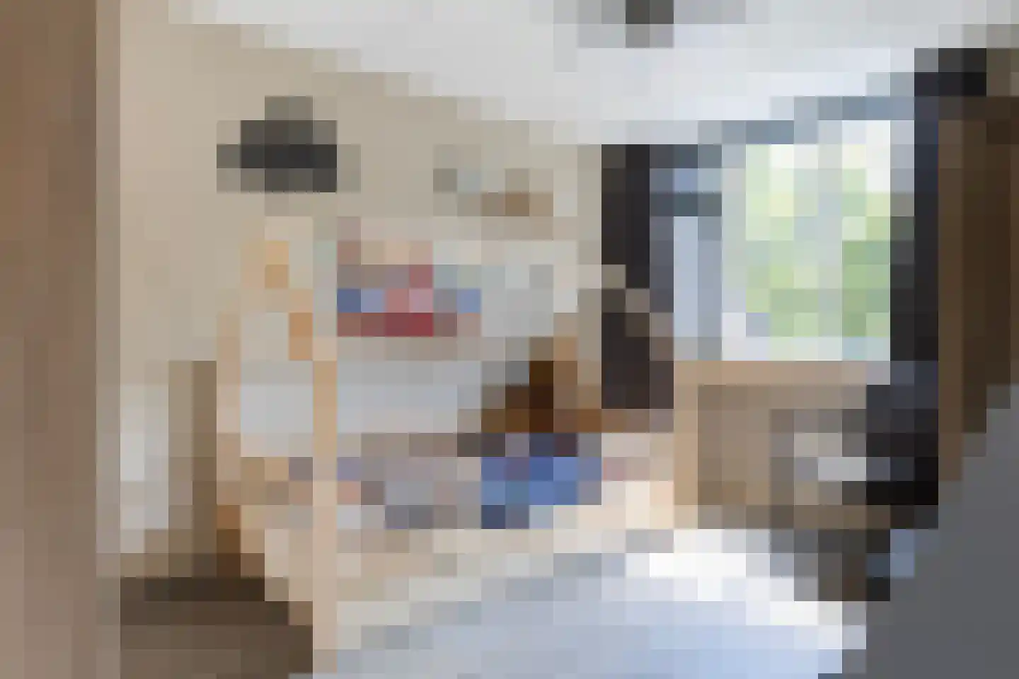 Wildforster 89 Barneveld thumbnail 18